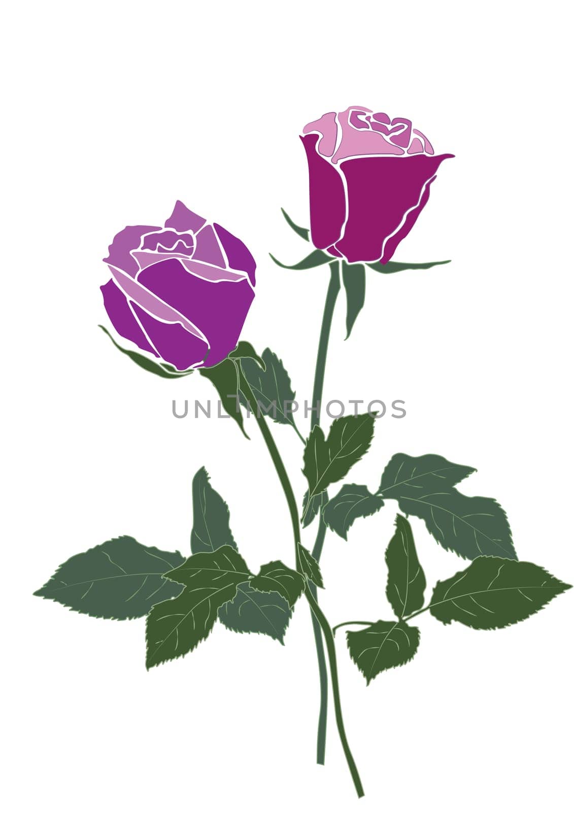 The Stock Vector Illustration rose icon isolated with white