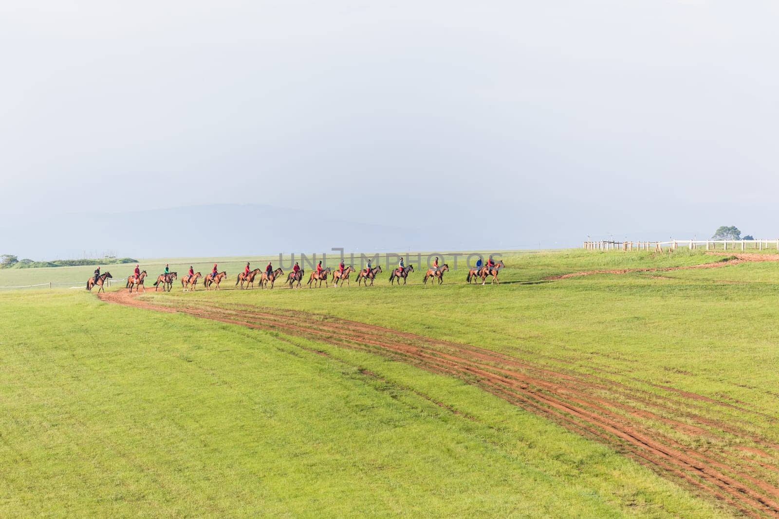 Horse Racing jockey rider morning training landscape countryside