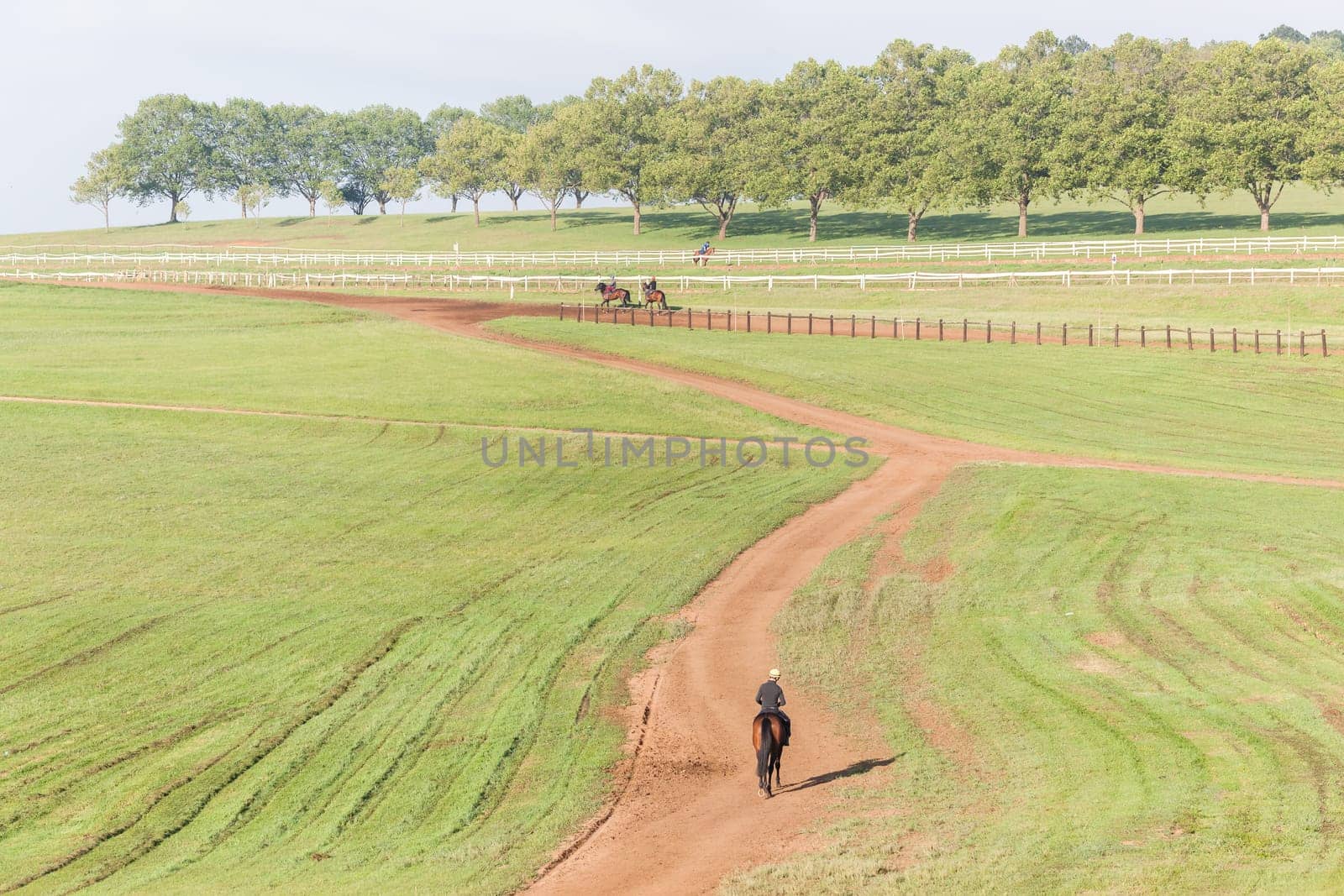 Horse Racing jockey rider morning training landscape countryside
