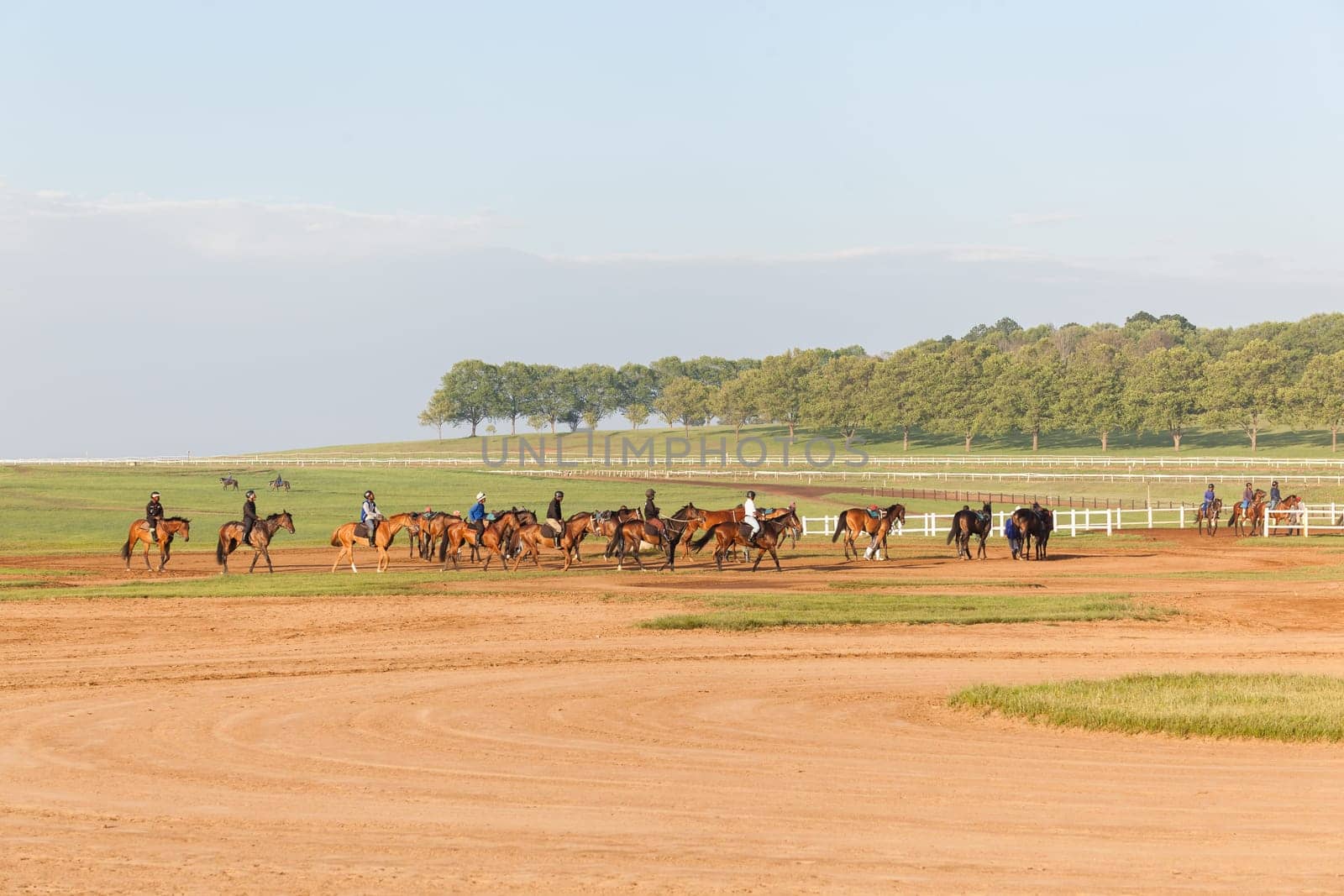 Horse Racing morning training at Summerveld outside Durban South-Africa