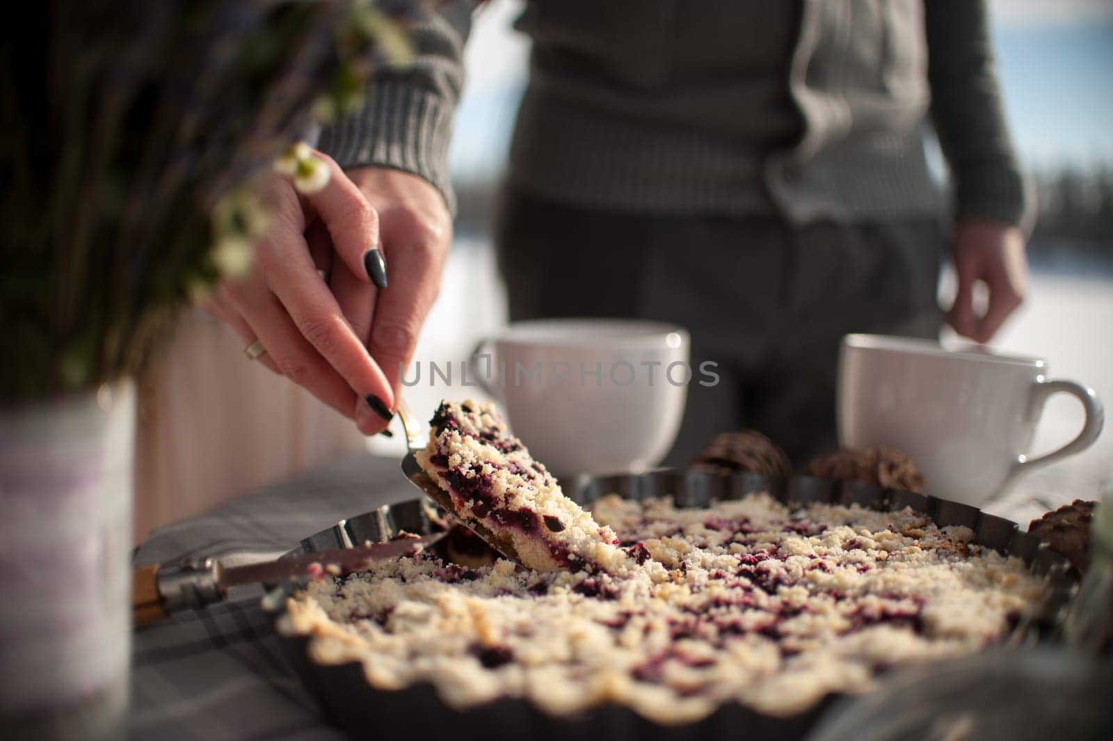 The bride and groom cut the wedding cake in tin metal plate outdoors in winter on the coast of the frozen river