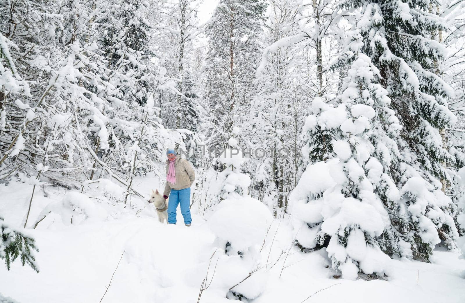 The woman with a dog on walk in a winter wood