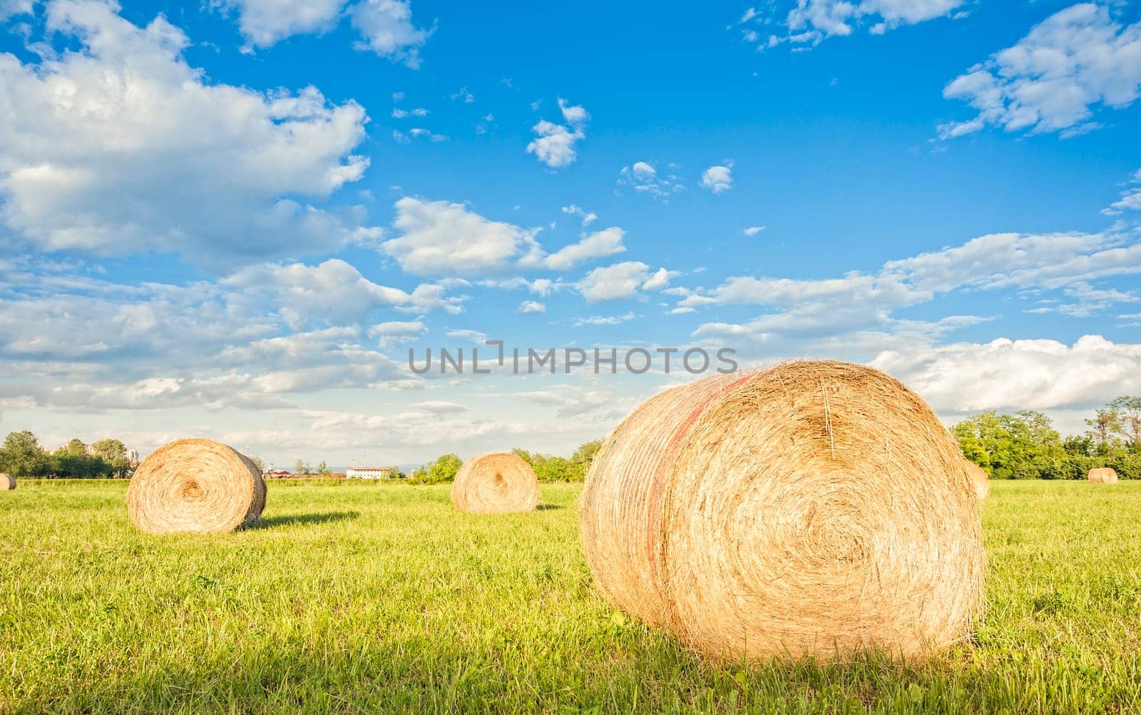 Big hay bale rolls in a green field with  blue sky and clouds