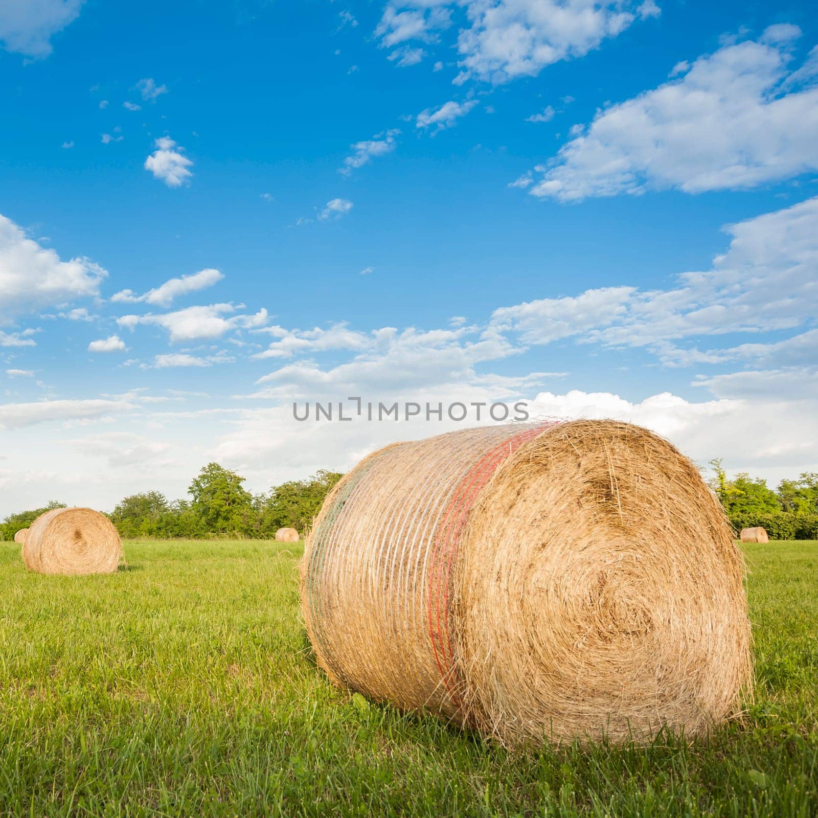 Big hay bale rolls in a green field with  blue sky and clouds