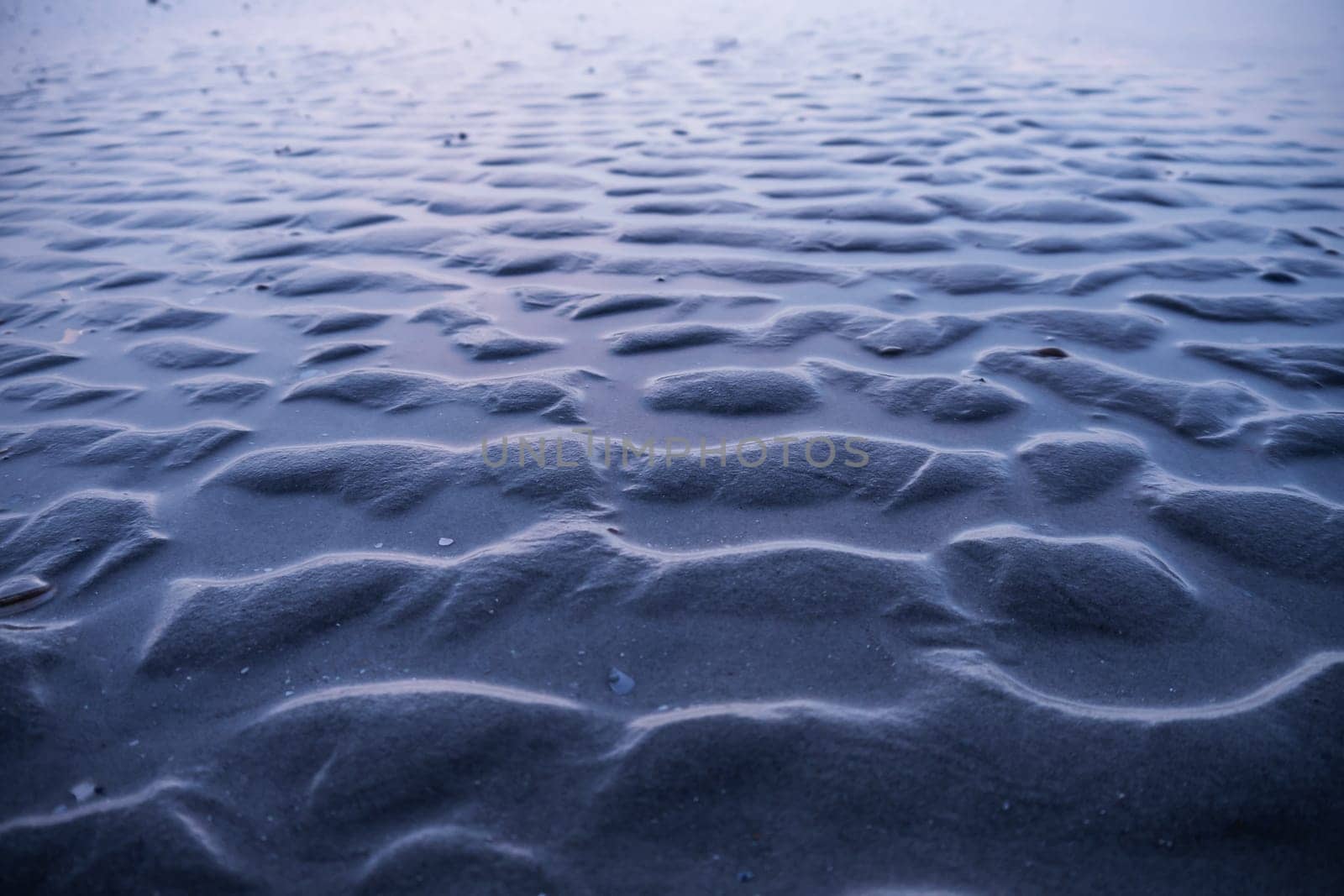 ripples at the beach at north sea