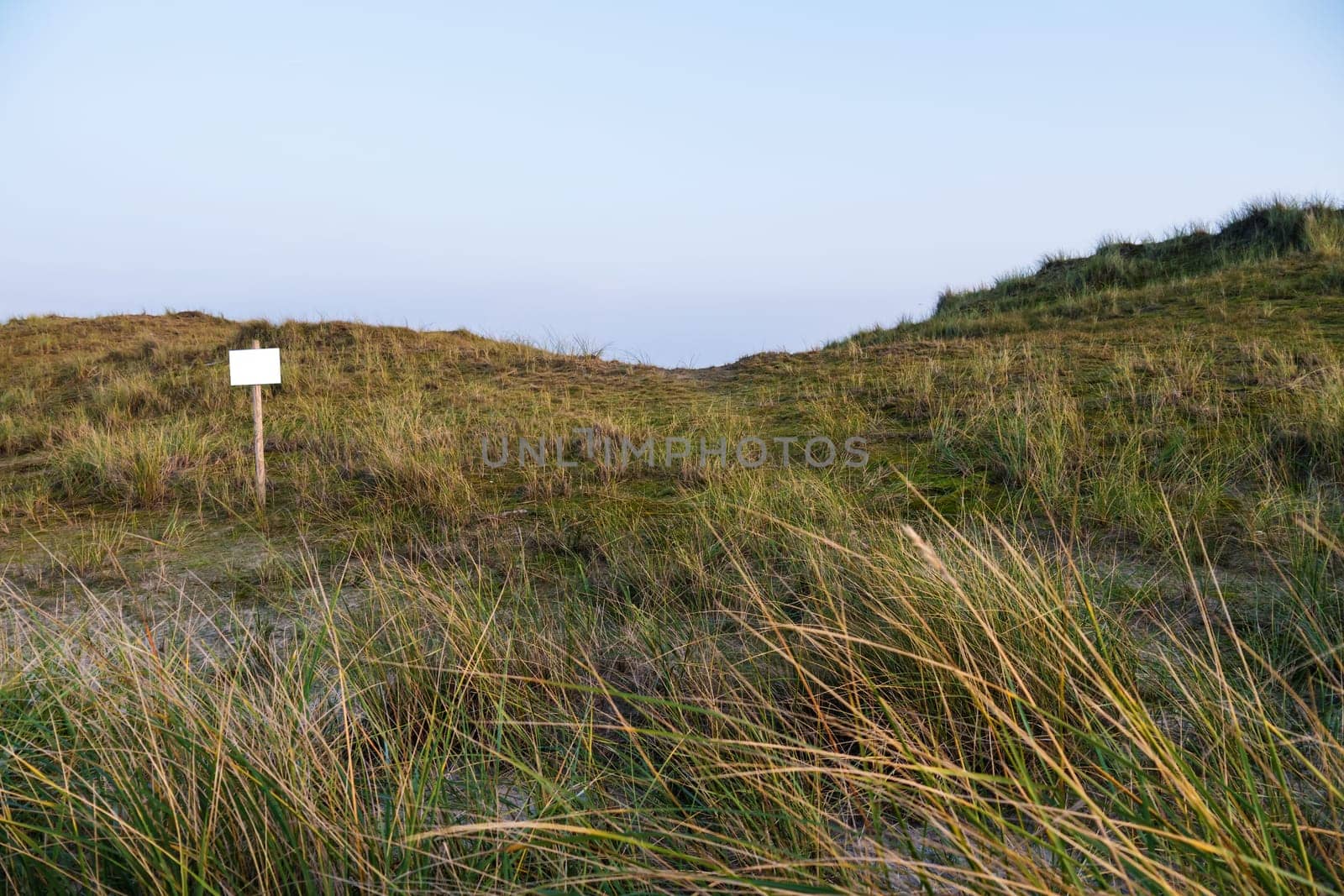 dune landscape and sign on norderney