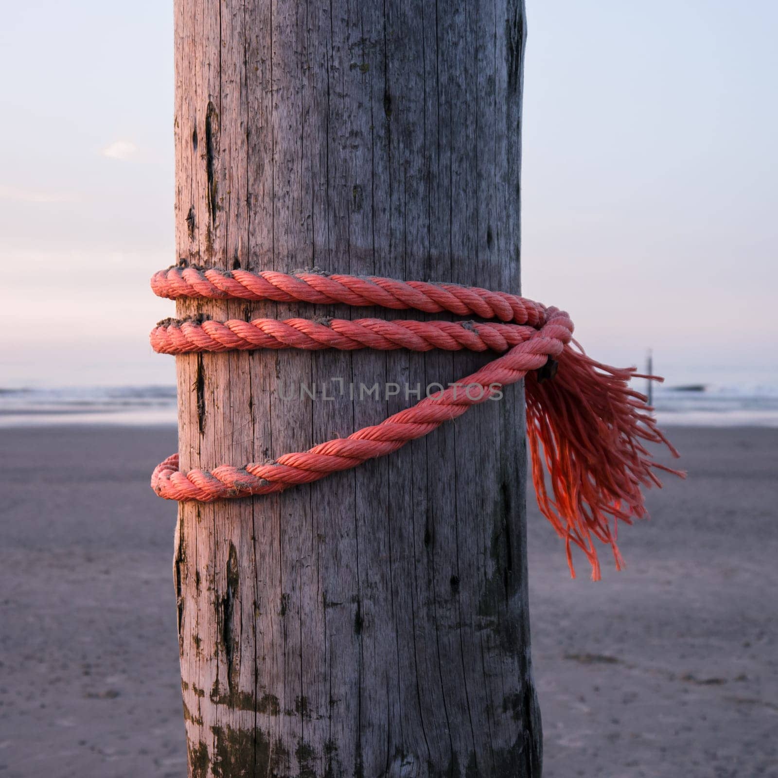 strong red rope on wooden stake