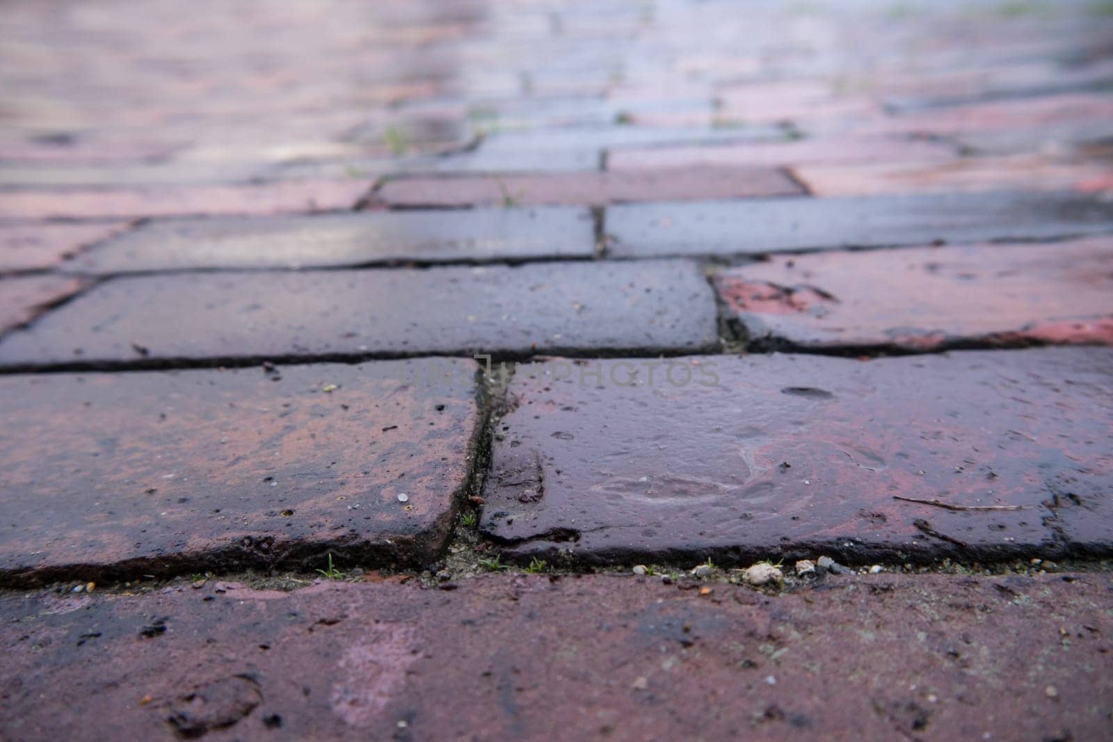 sidewalk, red tiled, background (texture)