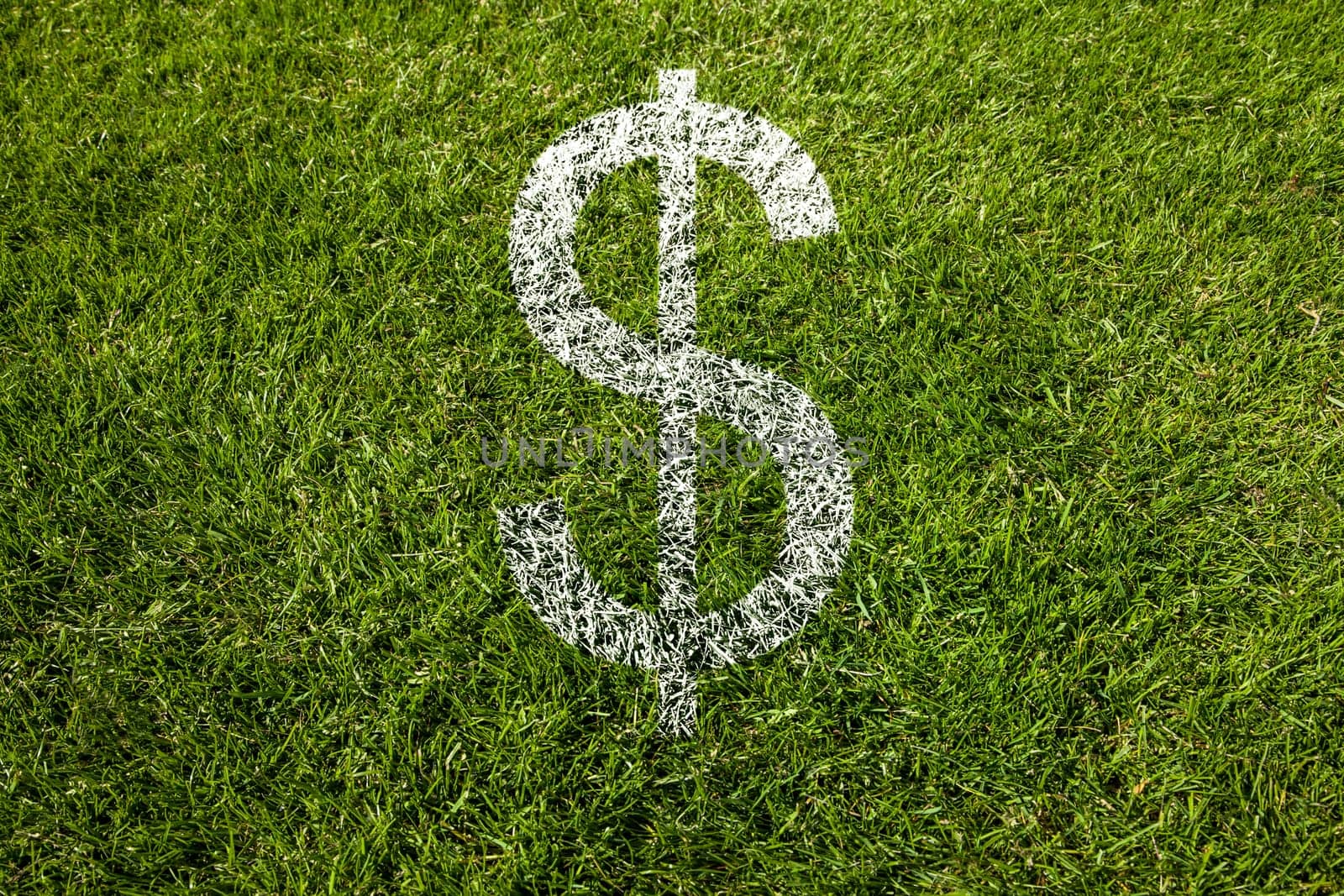 dollar symbol painted in white on meadow