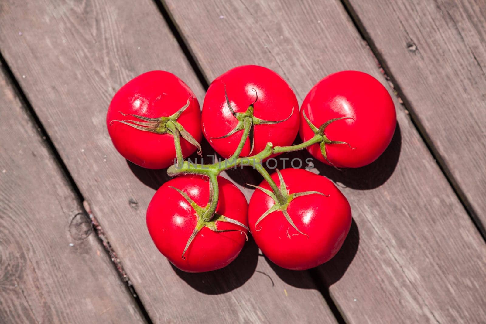 Five red tomatoes in olympic circles shape at wood background floor