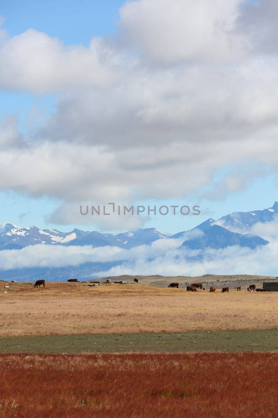 Overview of South Patagonia farmland
