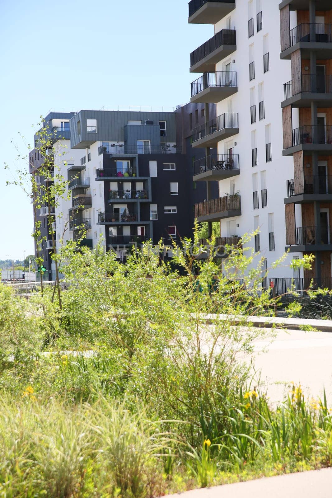 Details of architecture in green neighborhood