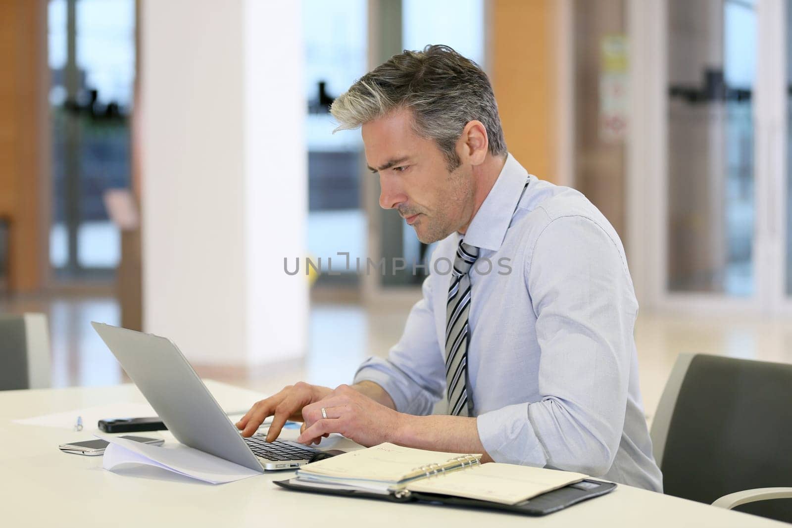 Mature businessman working on laptop