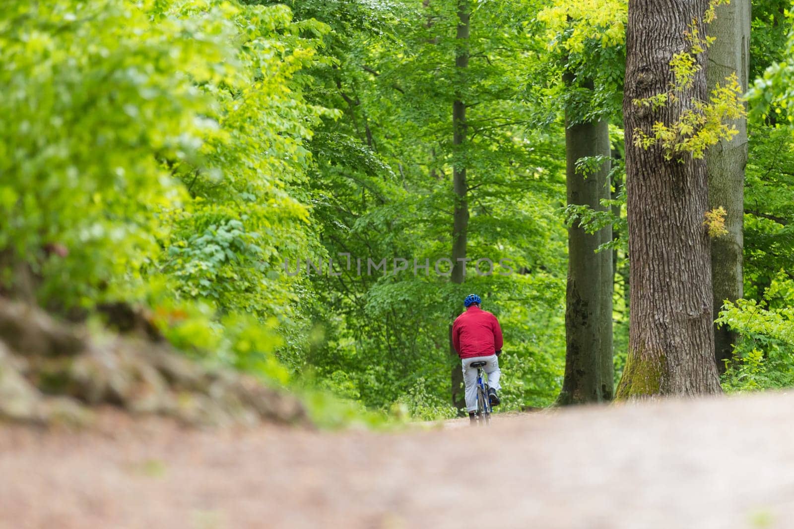 Male Cyclist Riding the Bike on the Beautiful Spring Forest Trail. Rear view. Man Cycling in Nature.