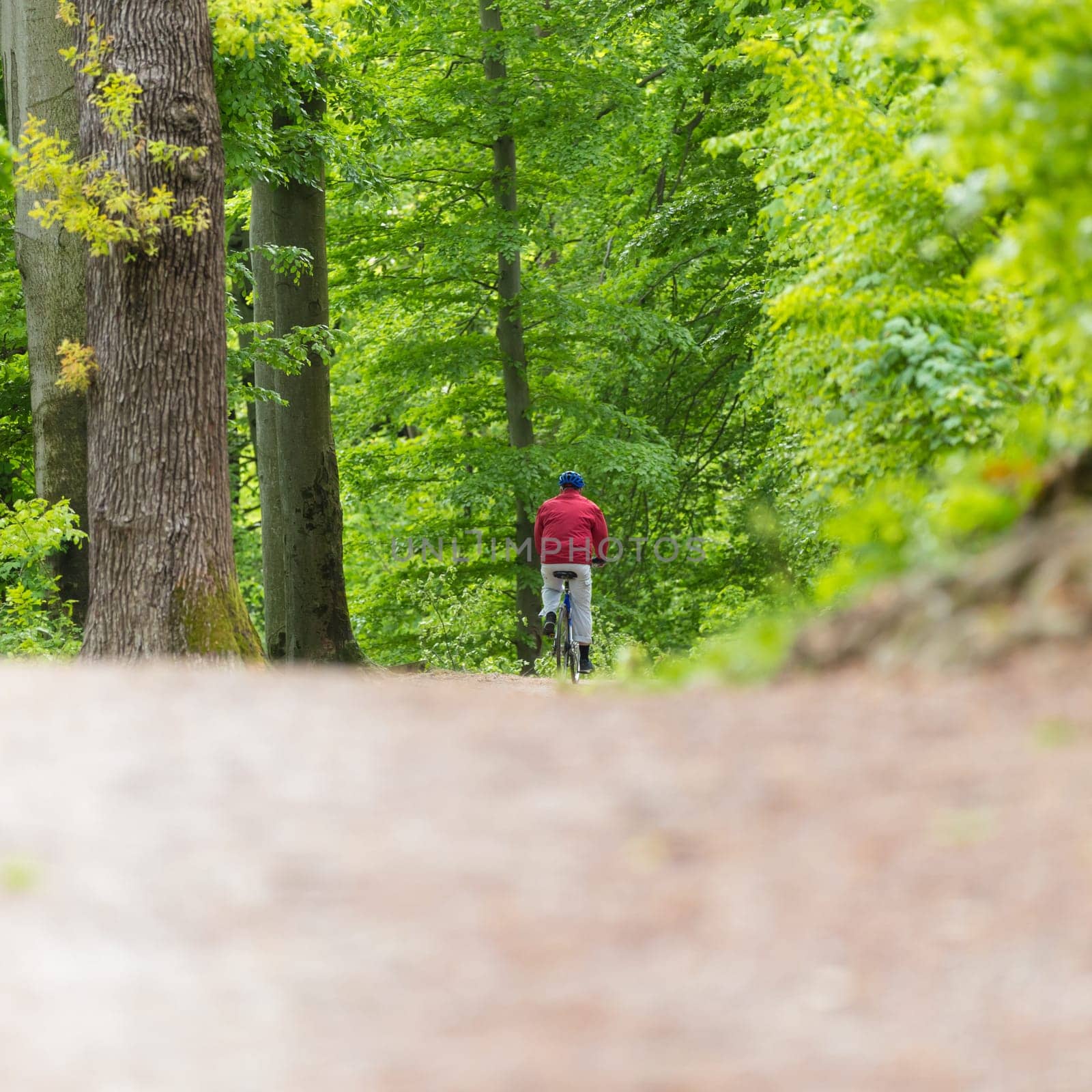 Male Cyclist Riding the Bike on the Beautiful Spring Forest Trail. Rear view. Man Cycling in Nature.