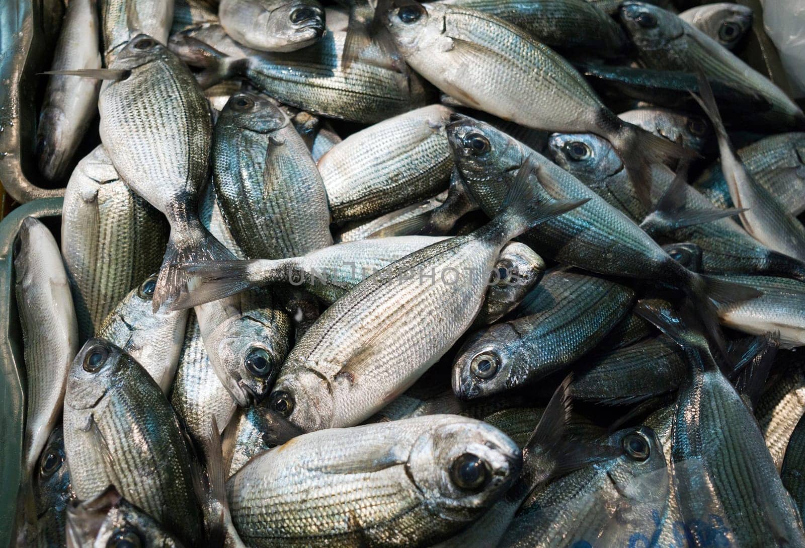 Background of fresh raw fish close up shot.