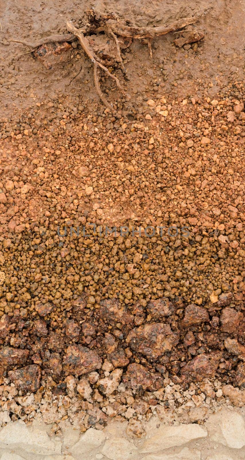 Root in soil with underground soil layers
