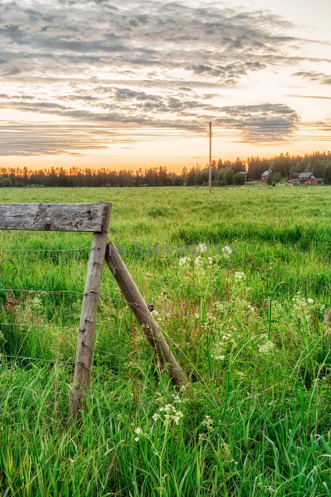 Wooden Fence in Field at sunrise.