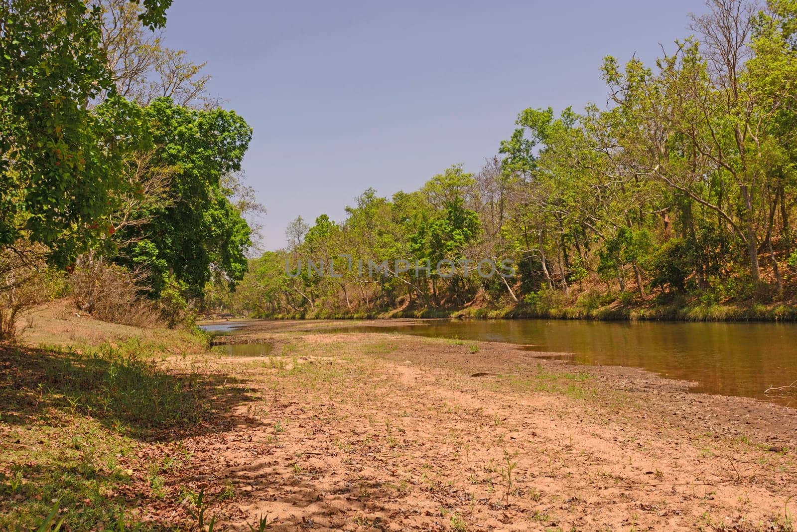 Burburi river at Low Water in by Kanha National Park in India