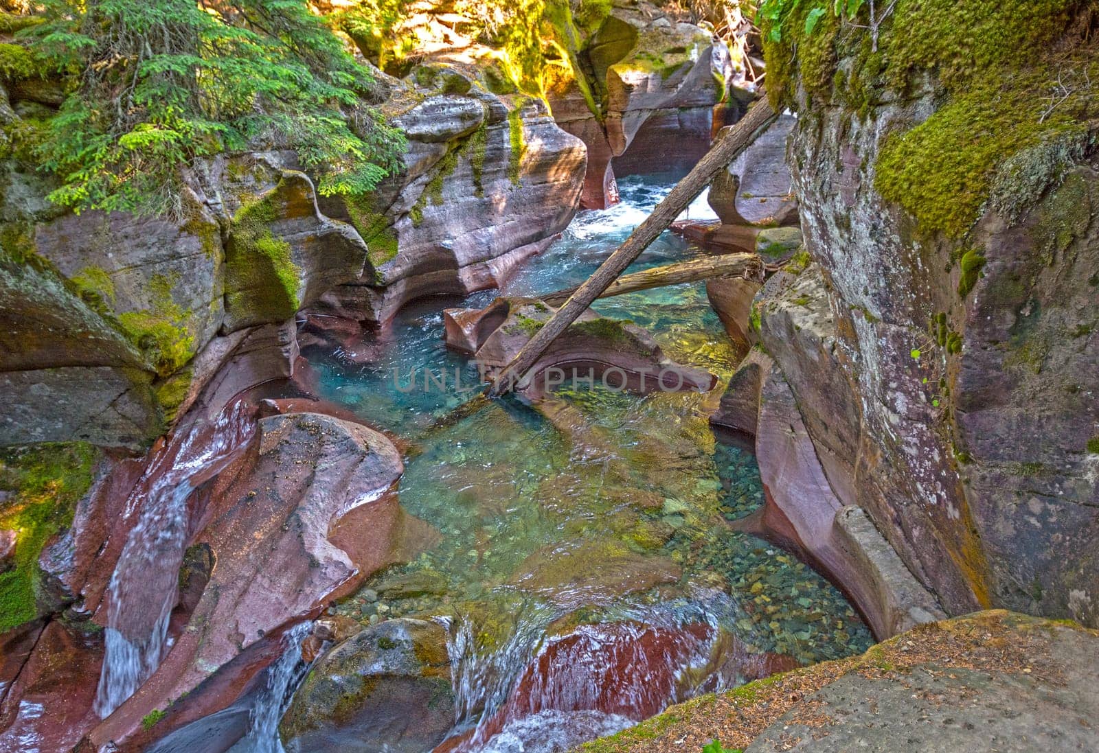 Avalanche Canyon in Glacier National Park in Montana
