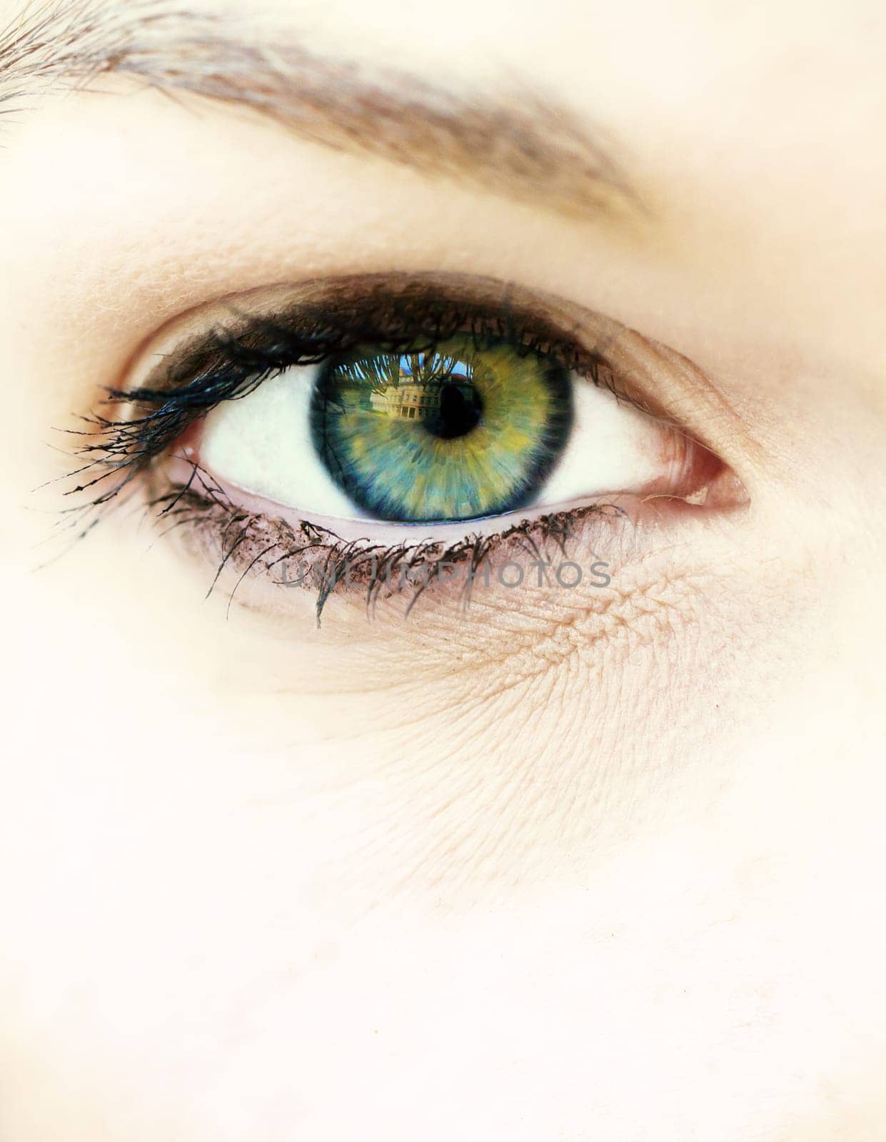 Vision eye