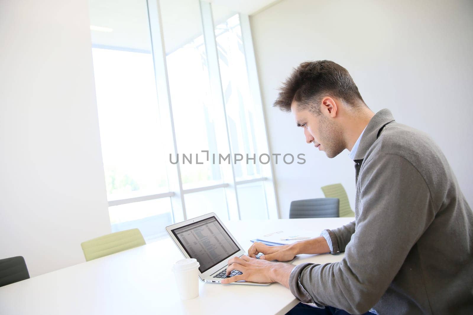 Businessman using laptop in contemporary working room