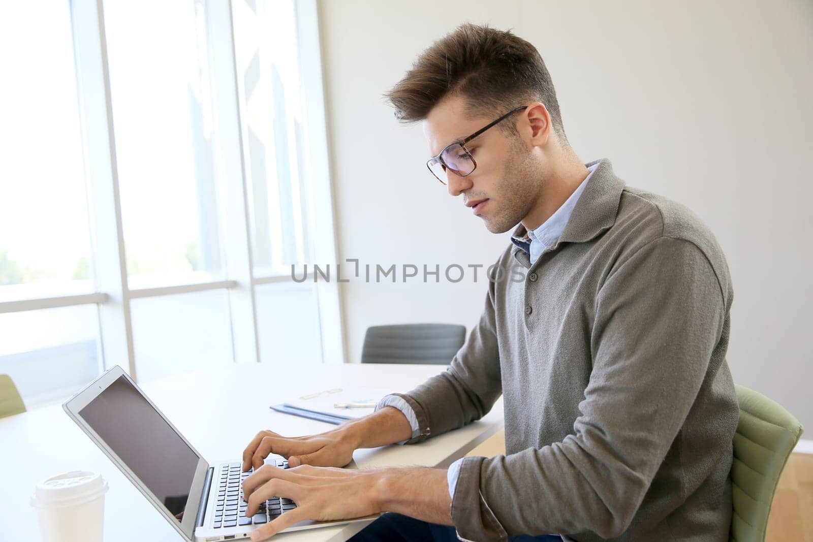 Businessman using laptop in contemporary working room