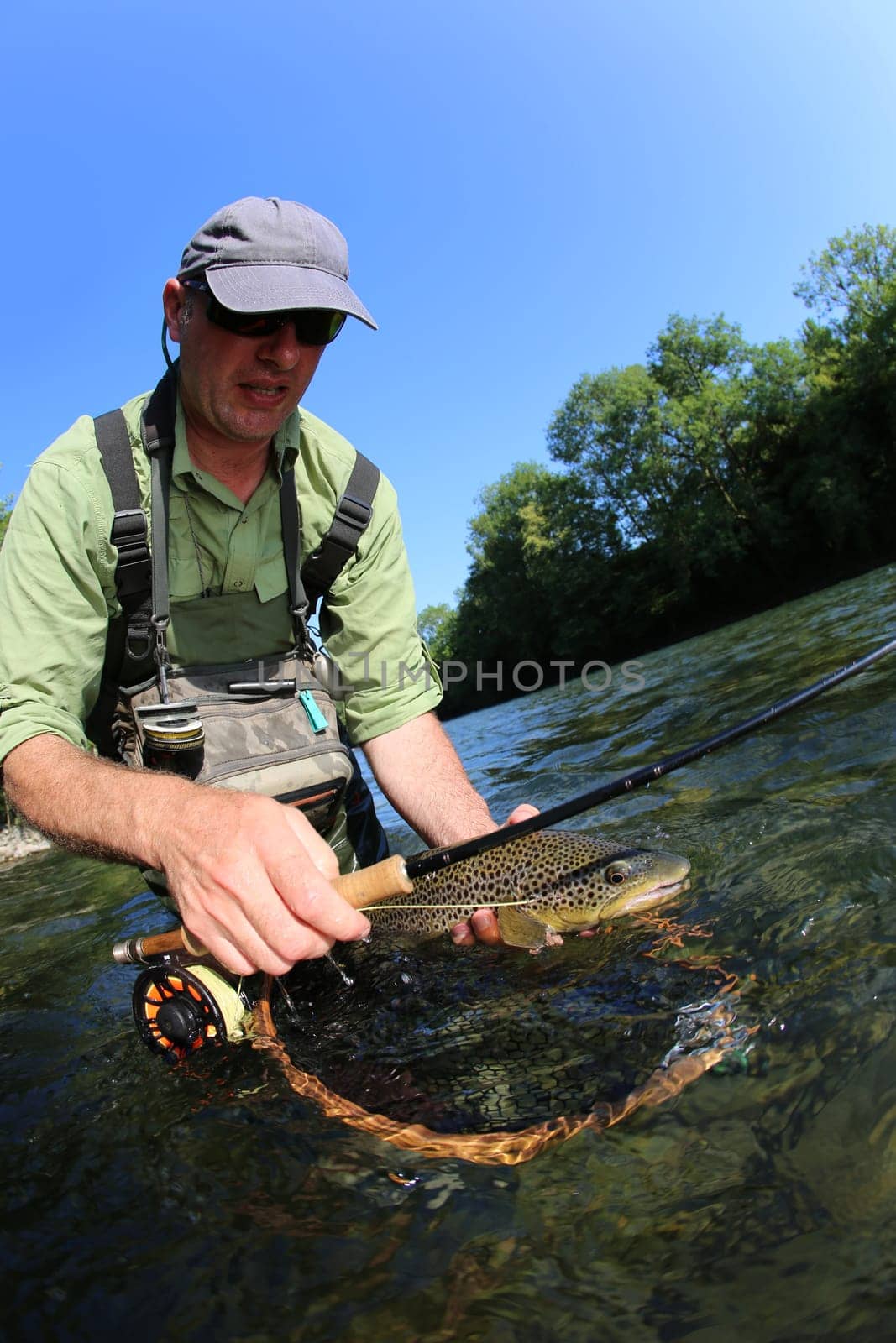 Fly-fisherman catching brown trout in river