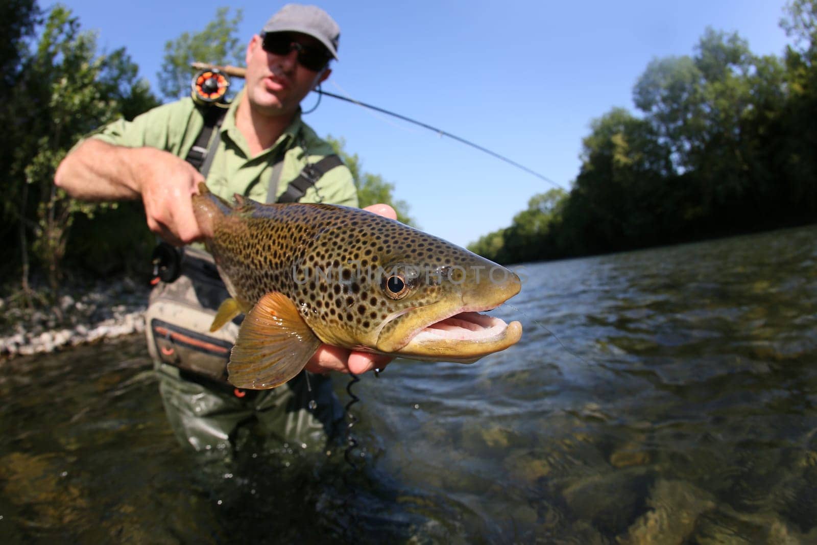 Closeup of fly-fisherman holding brown truit in river