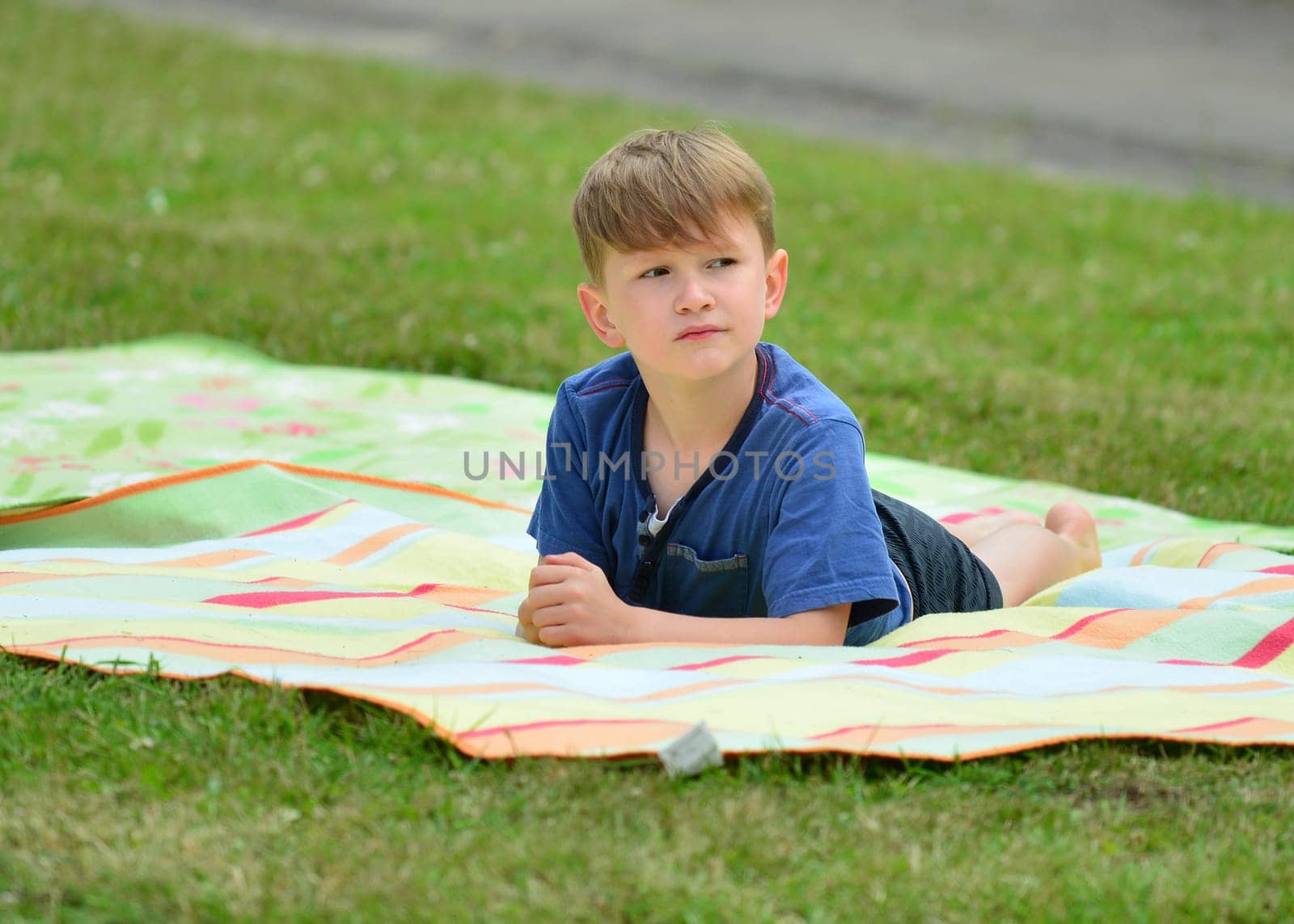 Boy lies with blanket on meadow