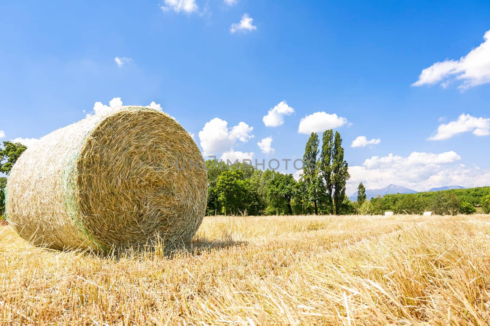 Rural landscape.Harvested field with straw bales in summer.