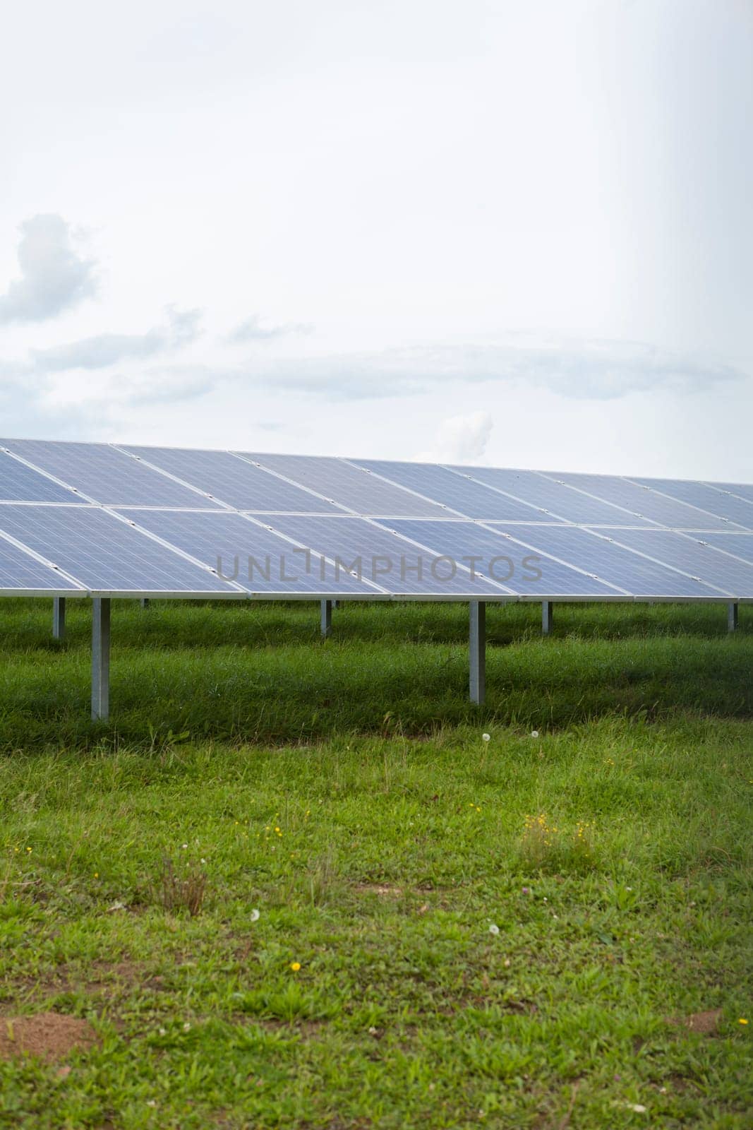 Solar cells in a greenfield solar park to generate electricity