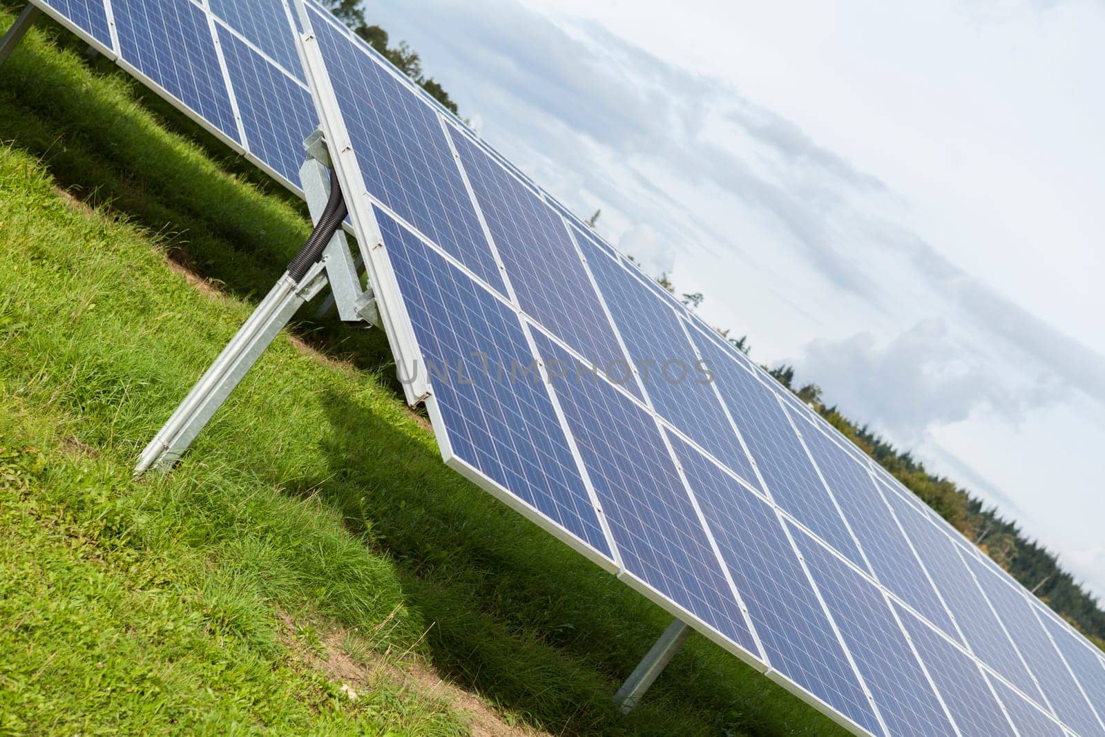 Solar cells in a green field solar park to generate electricity