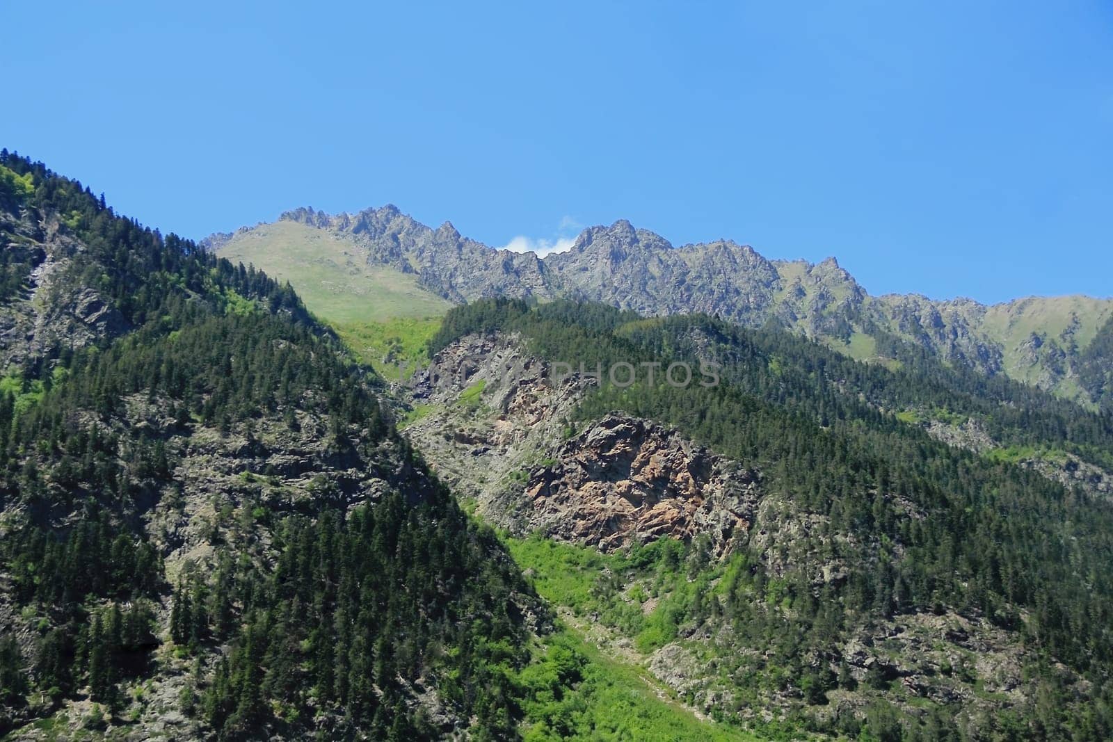 Summer scenery of Caucasus green mountains