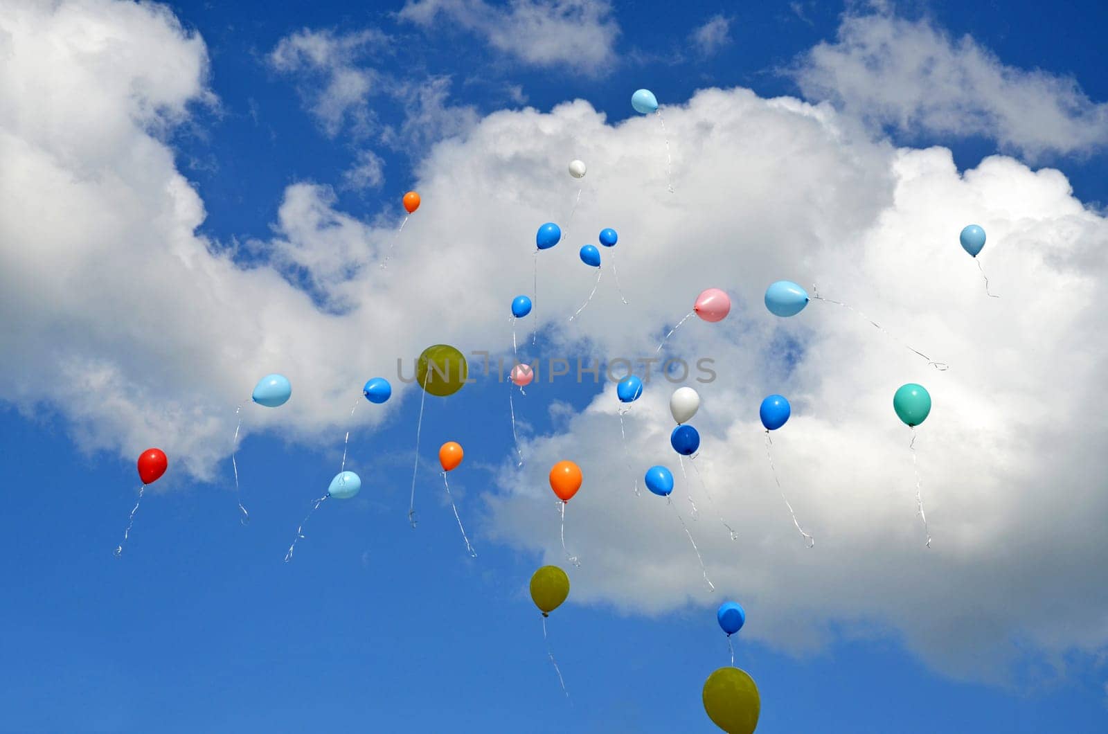 colorful balloons soar into the sky