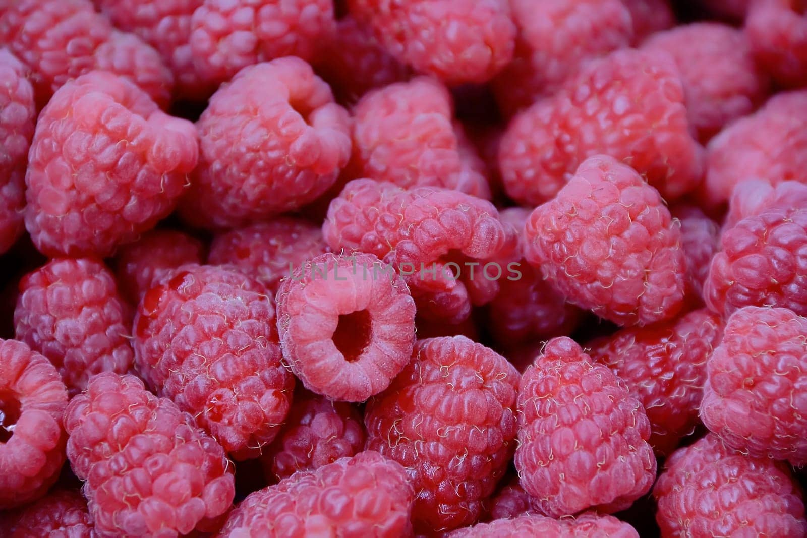 Image of the background fresh red raspberry