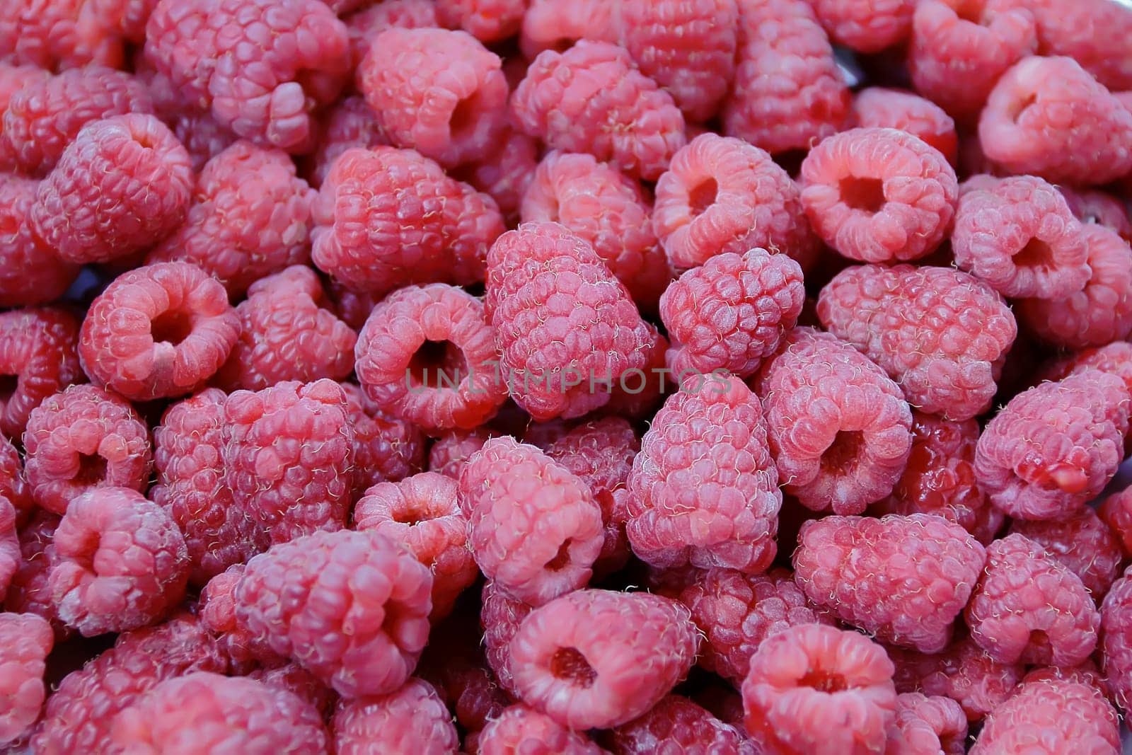 Image of the background fresh red raspberry