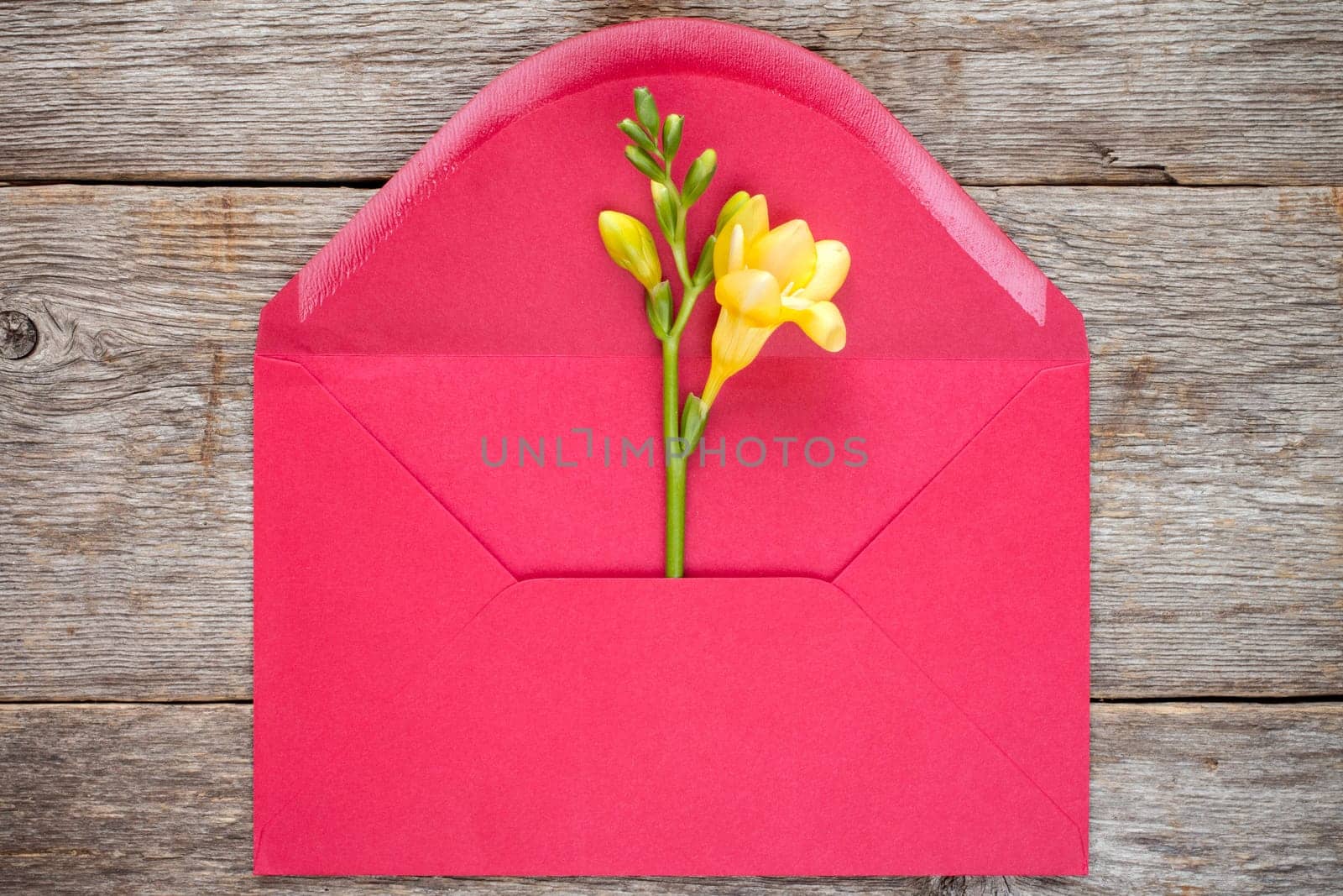 Feesia flower in red envelope,top view on wooden background