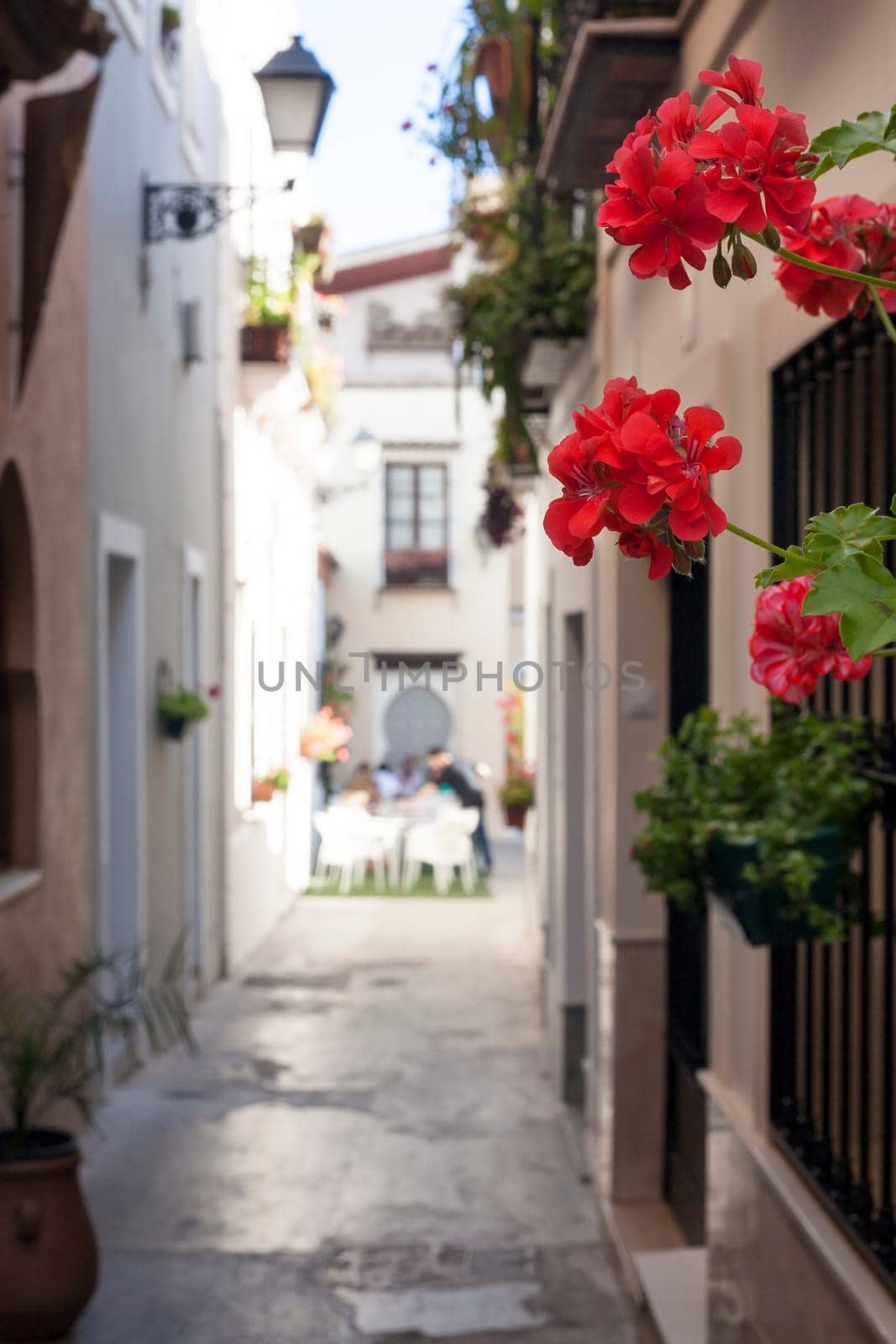 Narrow old town street of Badajoz with flowers and terrace at the bottom decorated as Al-andalus style
