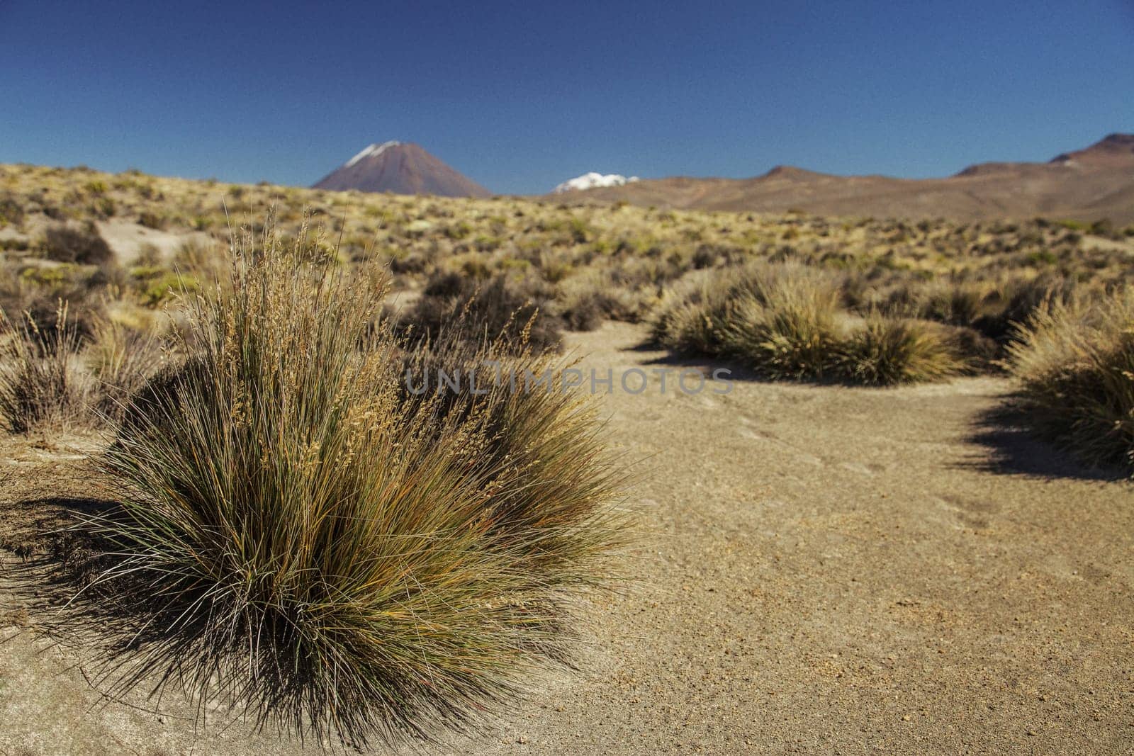 Hike to active volcano Misti, Arequipa, Peru