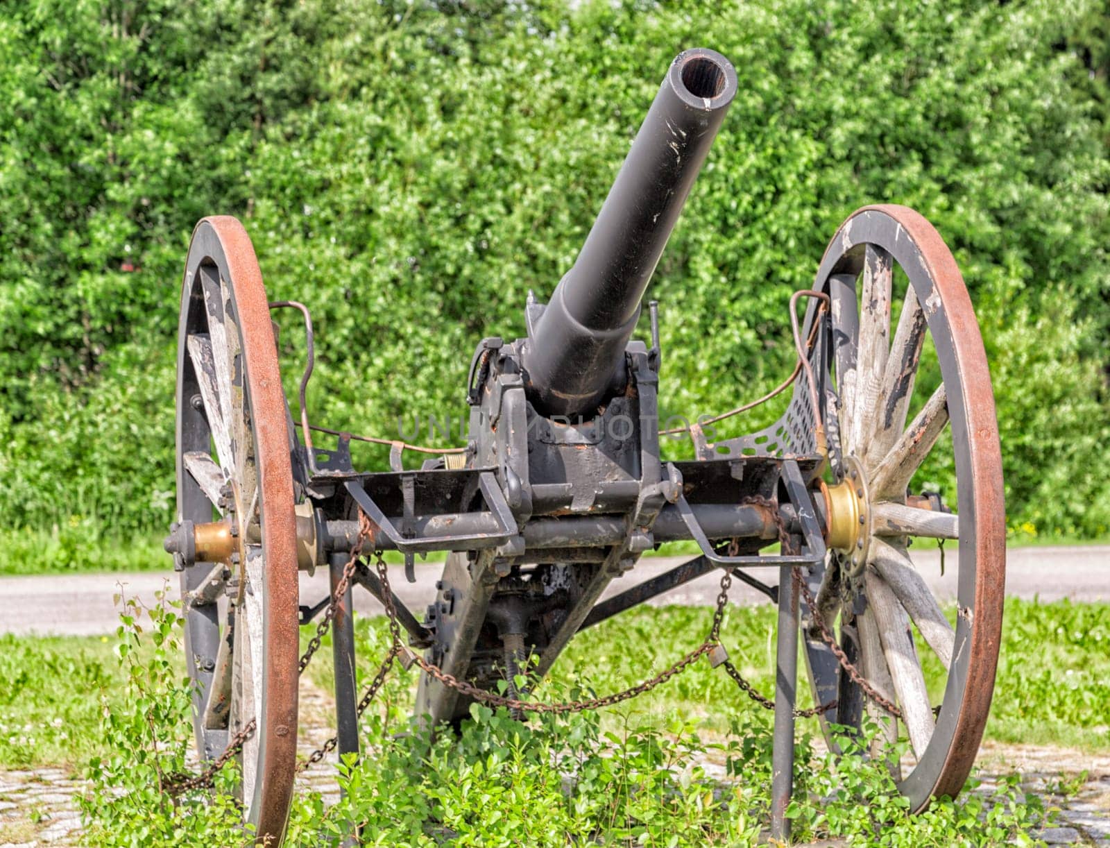Old Cannon Weapon with green background.