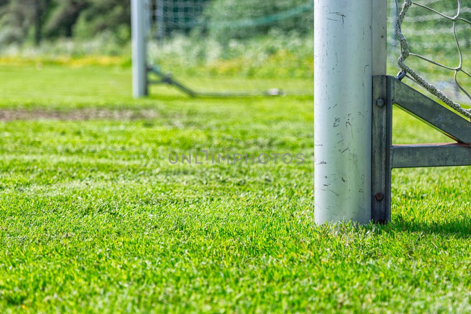 Soccer Goal Post with green grass.