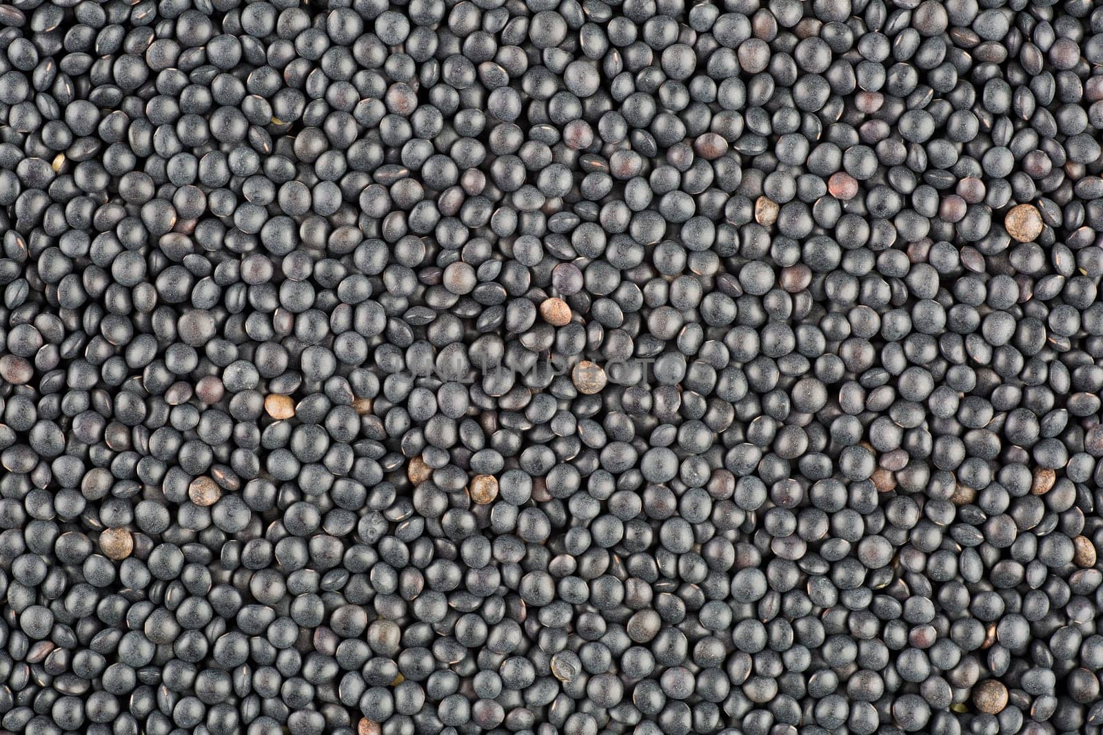 Black lentil food background texture
