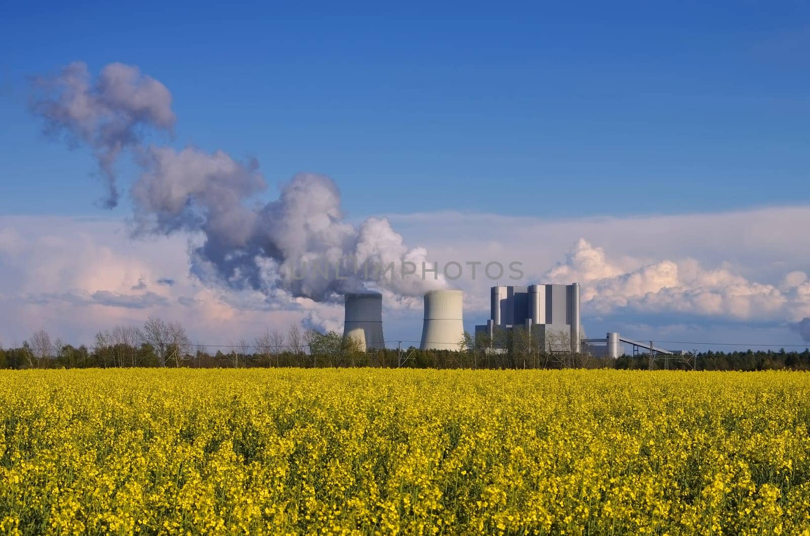 Power plant with rapeseed field - coal power plant and yellow rape field