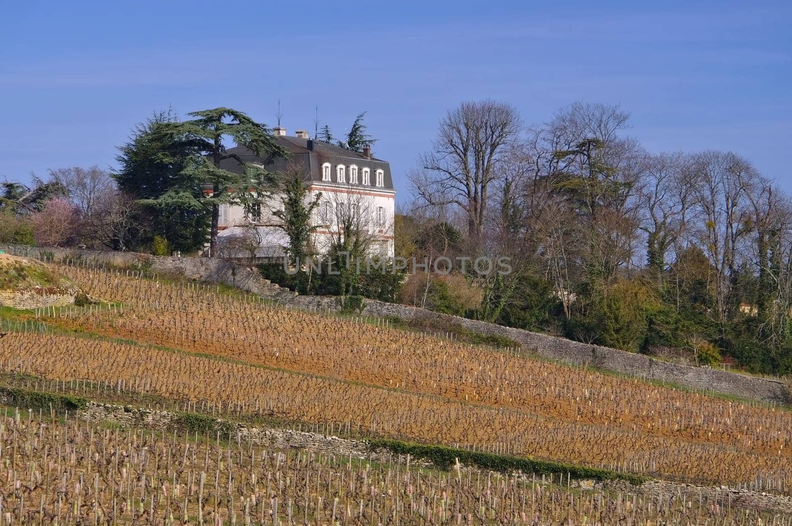 rully in Burgundy,France - village Rully in Burgundy,France