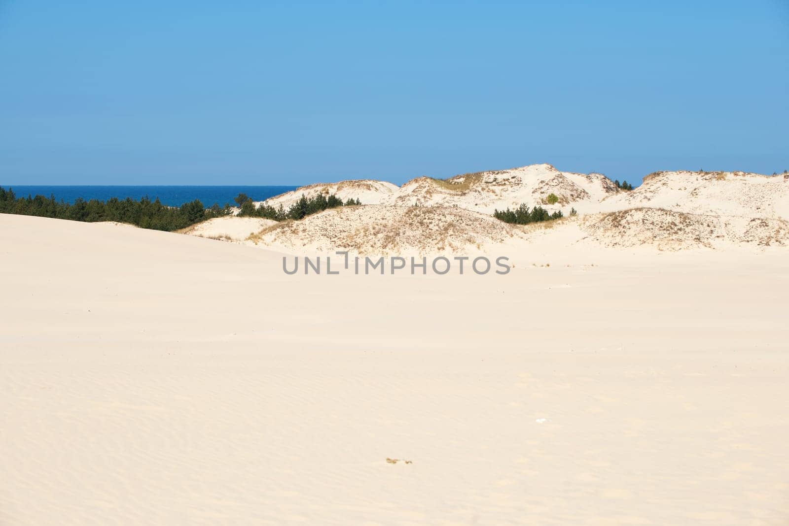 The Lontzke dune in Poland