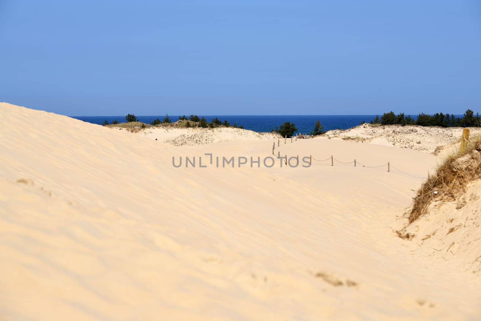 Wandering dune in Poland