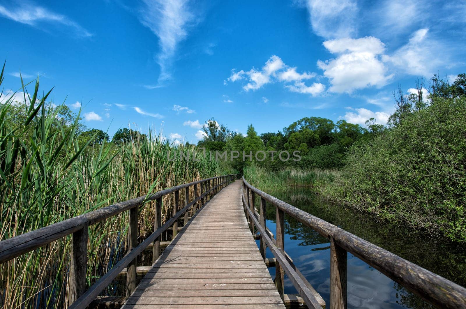 Jetty on the Müritz
