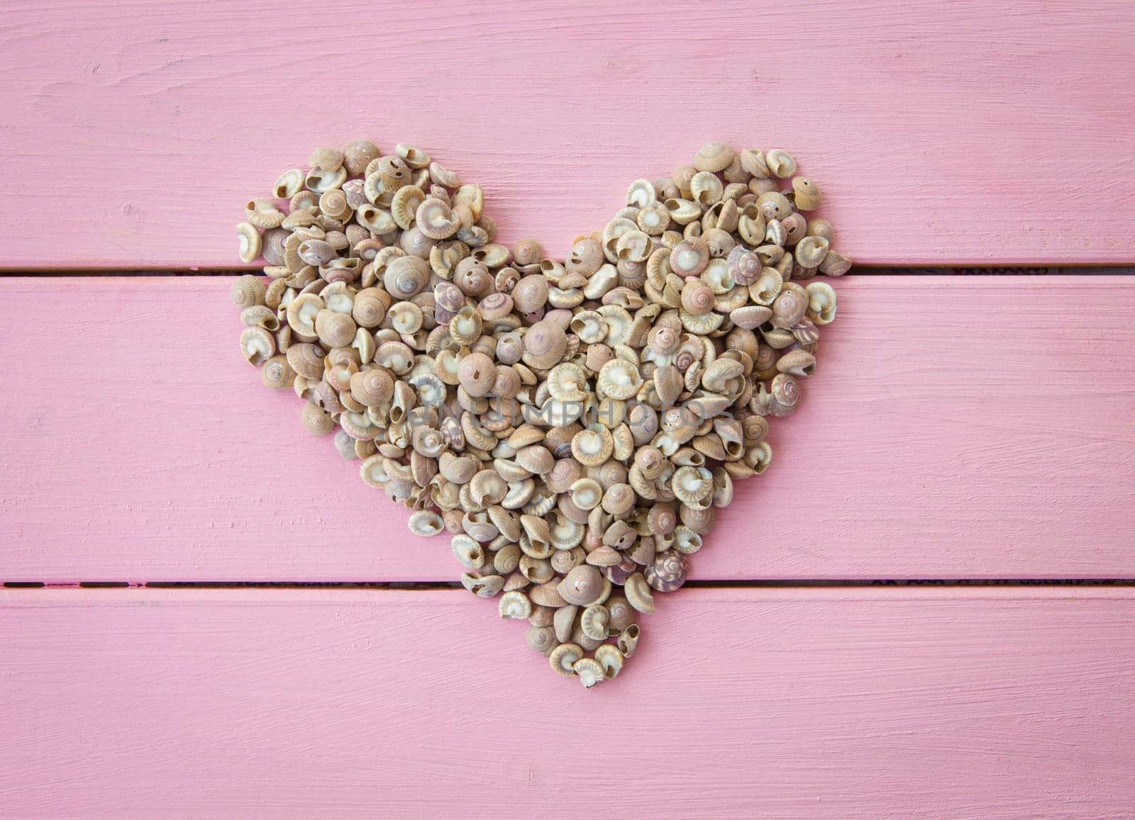 Heart of shells on rustic background of pink beams