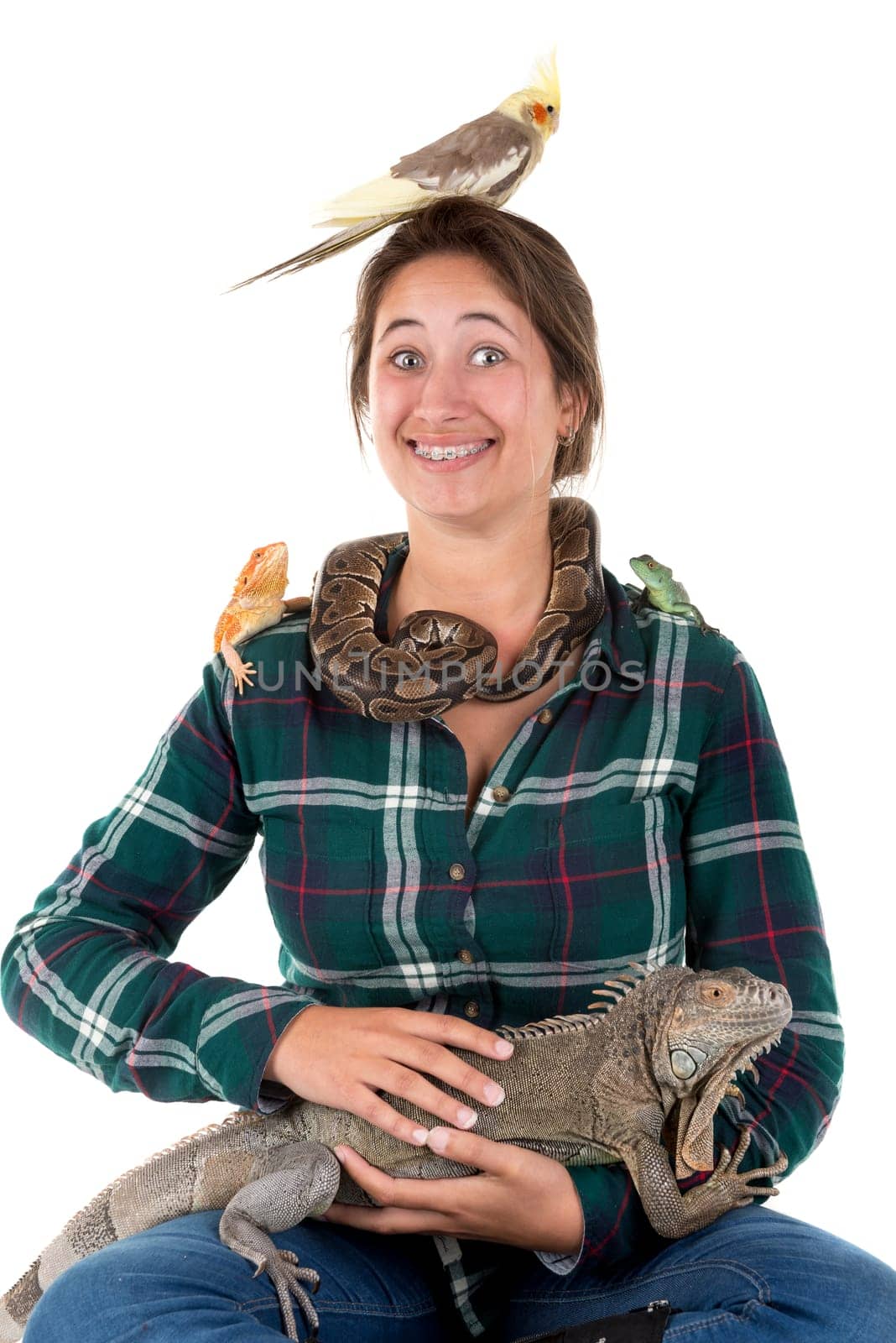 Girl with several pet animals isolated in white